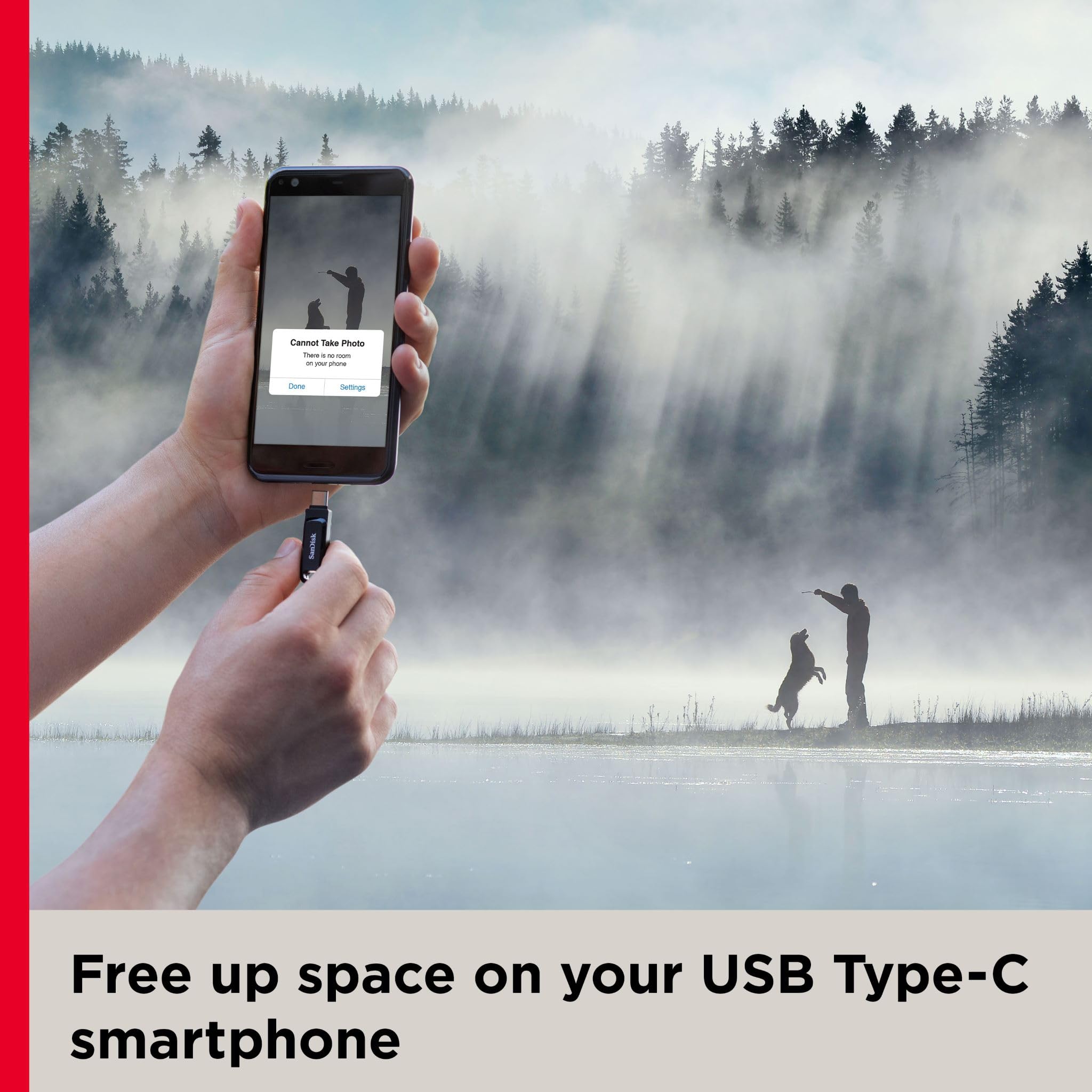 SanDisk 32GB Ultra Dual Drive Go USB Type-C Flash Drive, Black - SDDDC3-032G-G46