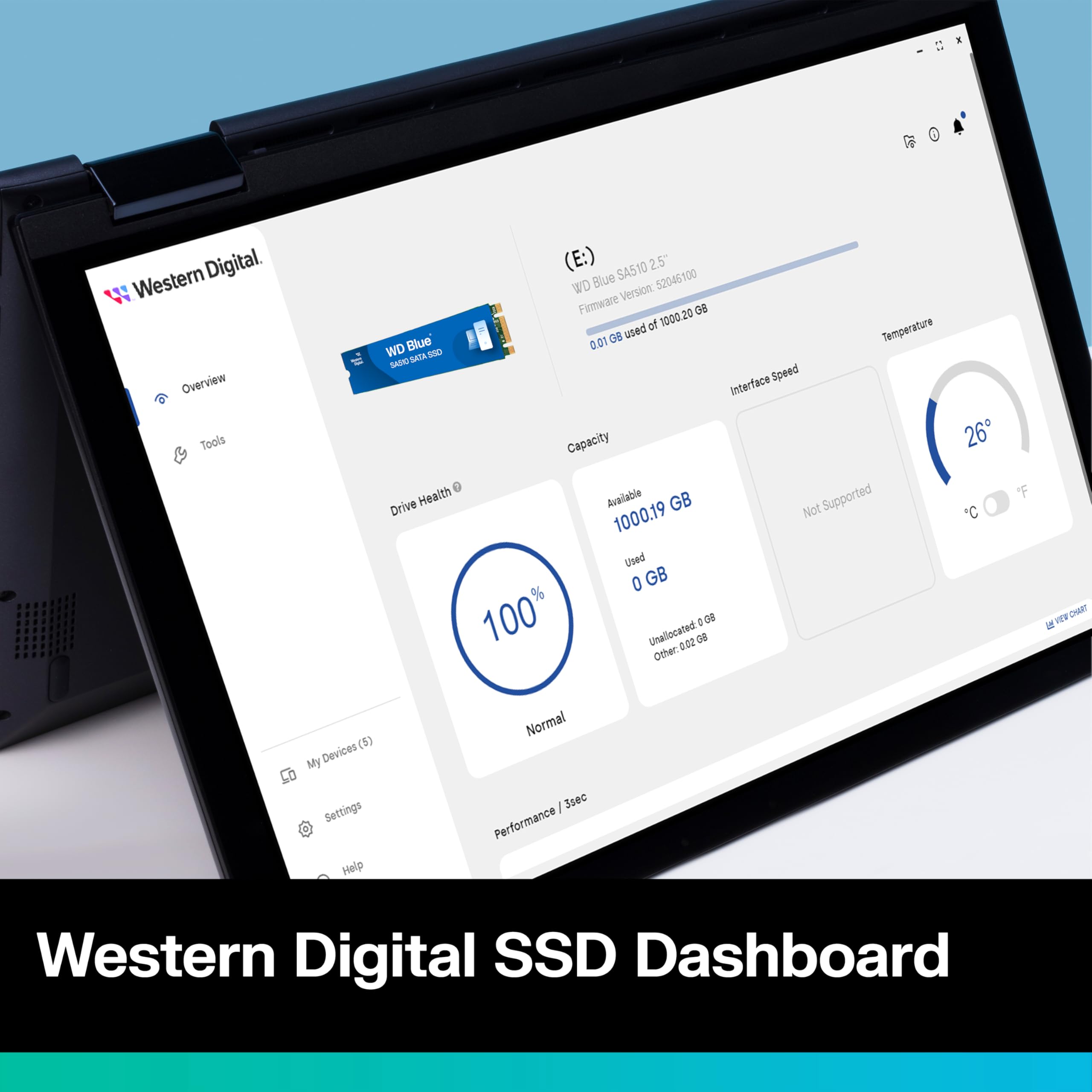 WD Blue SA510 250GB SATA SSD - SATA III 6 Gb/s, M.2 2280, Internal Solid State Drive, Up to 555 MB/s - WDS250G3B0B